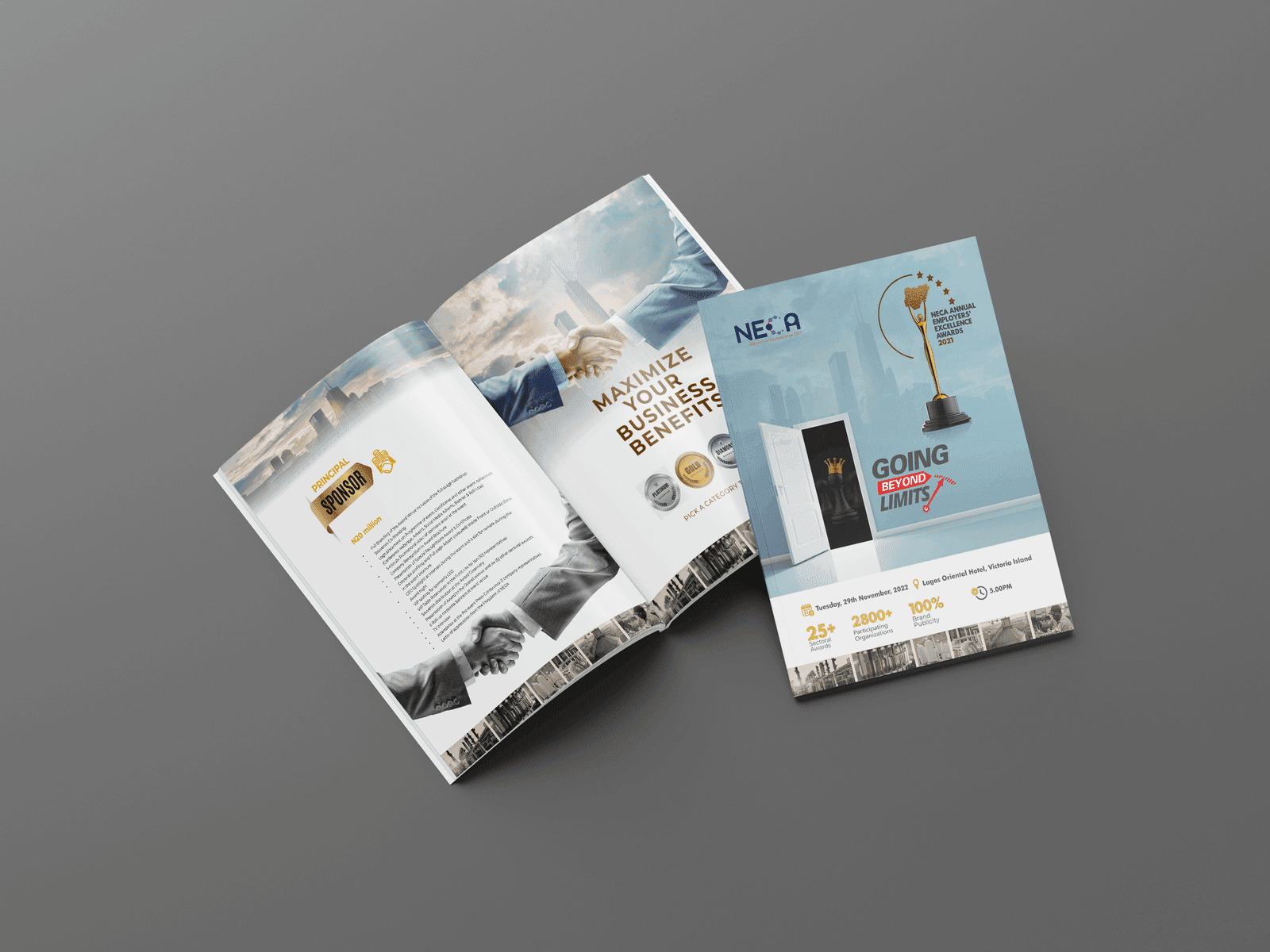 Portrait A4 company profile brochure with printed cover