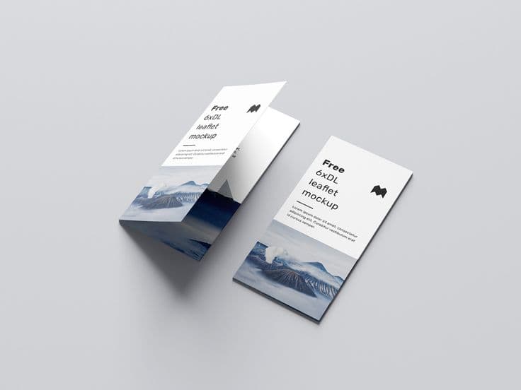 DL flyer folded into two printed panels