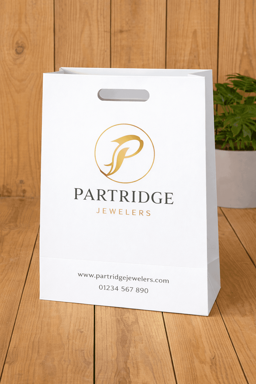 Large branded A2 paper bag with rope handles