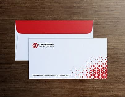Standard DL business envelope with printed branding